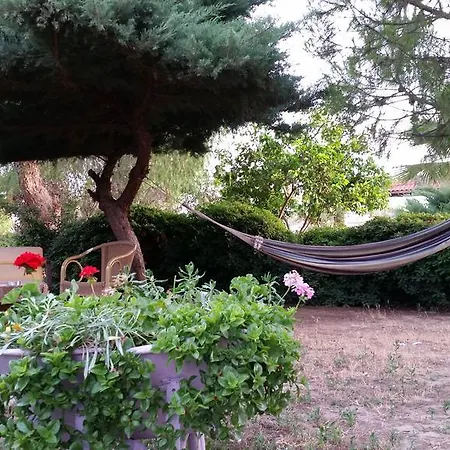 Hermess * أورين