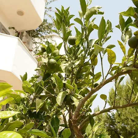Hotell Hermess Oren (Milas)